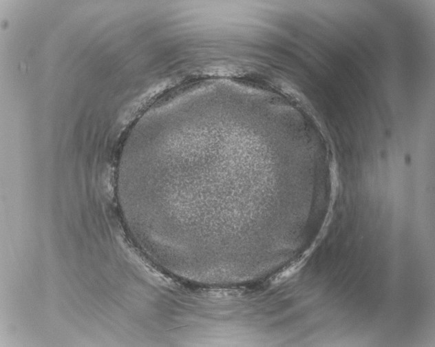 X0000056320305200509092309