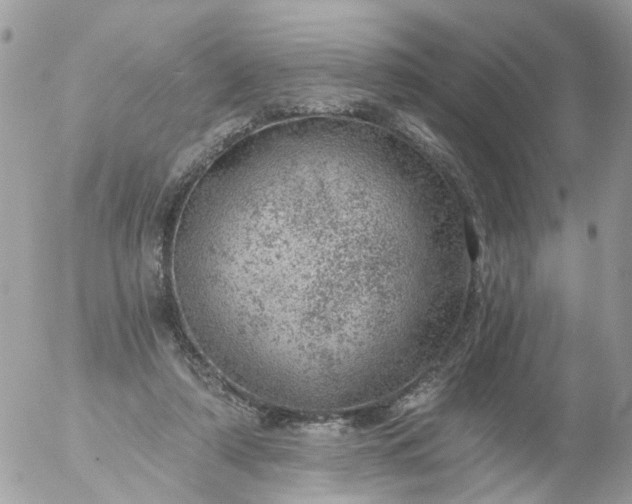 X0000056320306200509092309