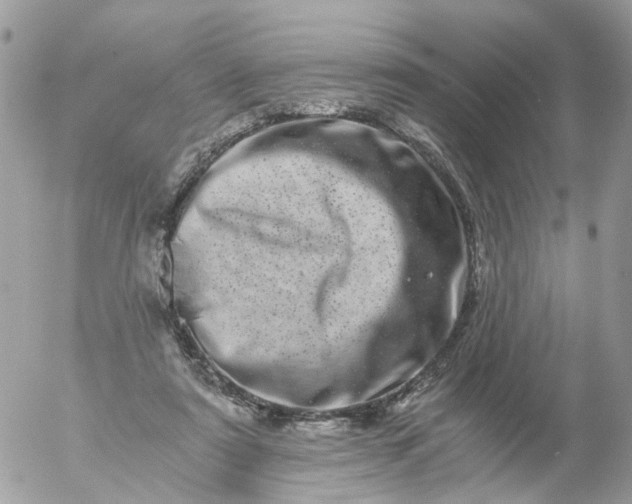 X0000056320307200509092309