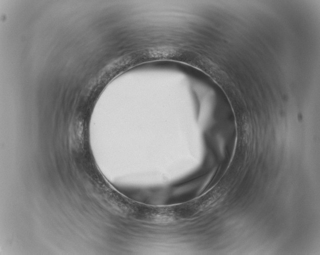 X0000056320308200509092309