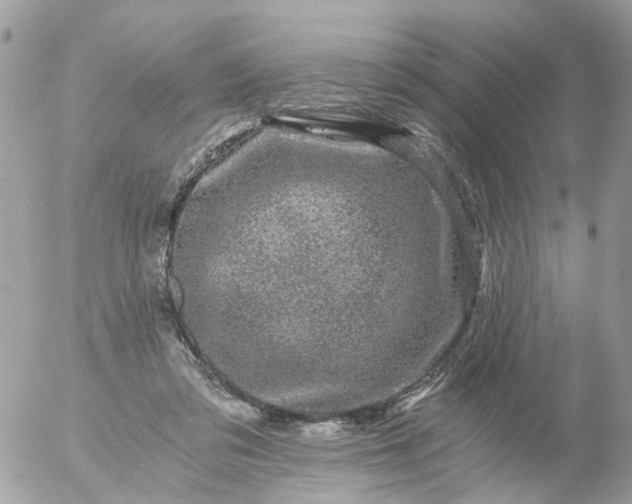 X0000056320309200509092309