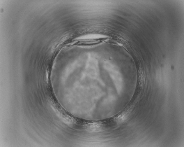 X0000056320310200509092309