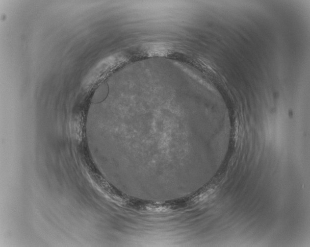 X0000056320311200509092309