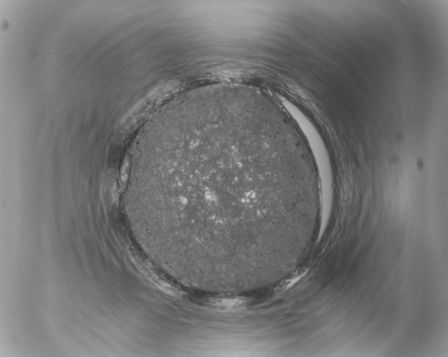 X0000056320313200509092309