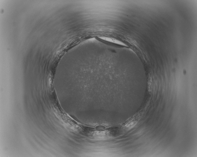 X0000056320314200509092309