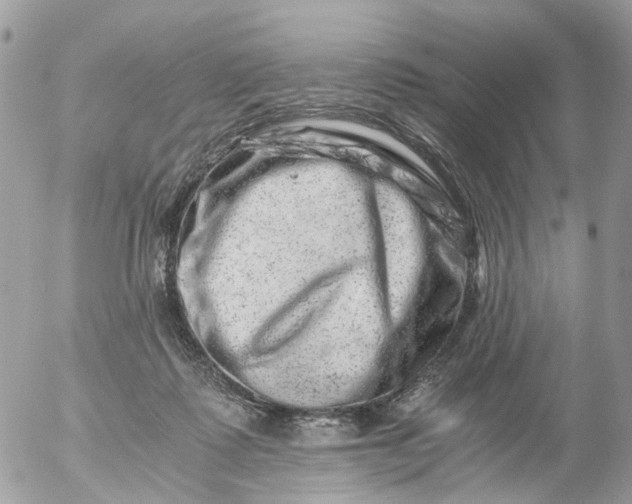 X0000056320315200509092309