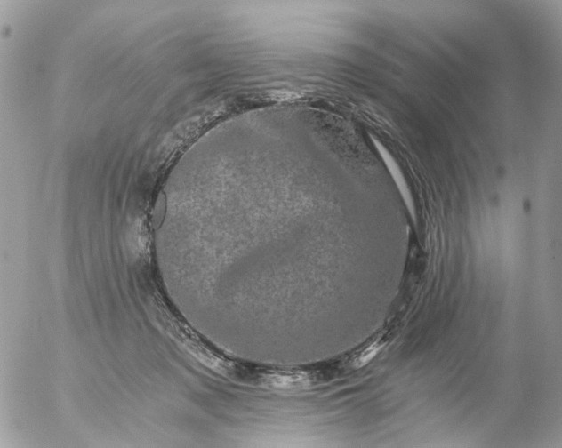 X0000056320317200509092309