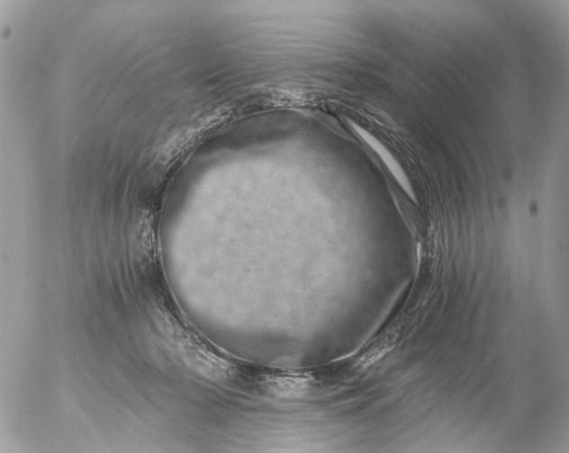 X0000056320318200509092309