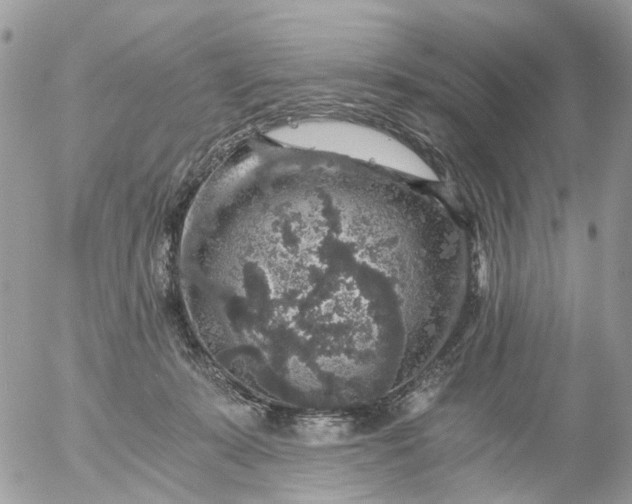 X0000056320319200509092309