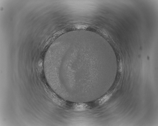 X0000056320321200509092309