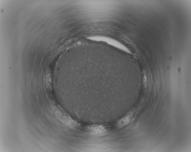 X0000056320322200509092309