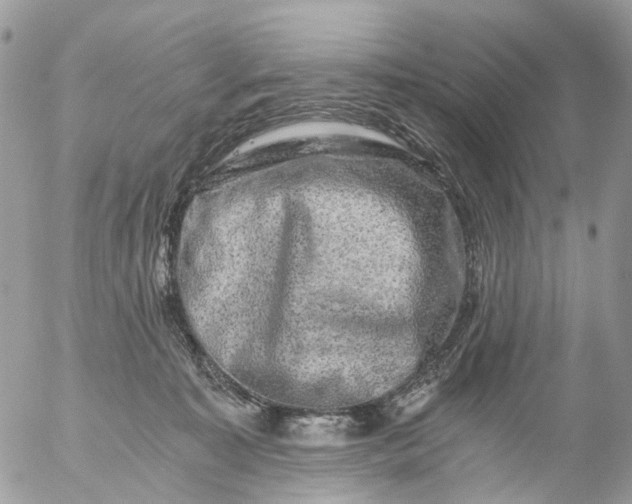 X0000056320323200509092309