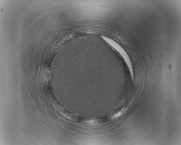 X0000056320325200509092309