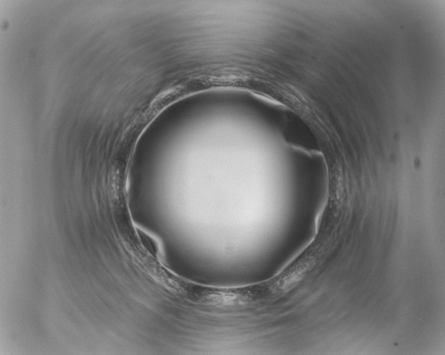 X0000056320326200509092309