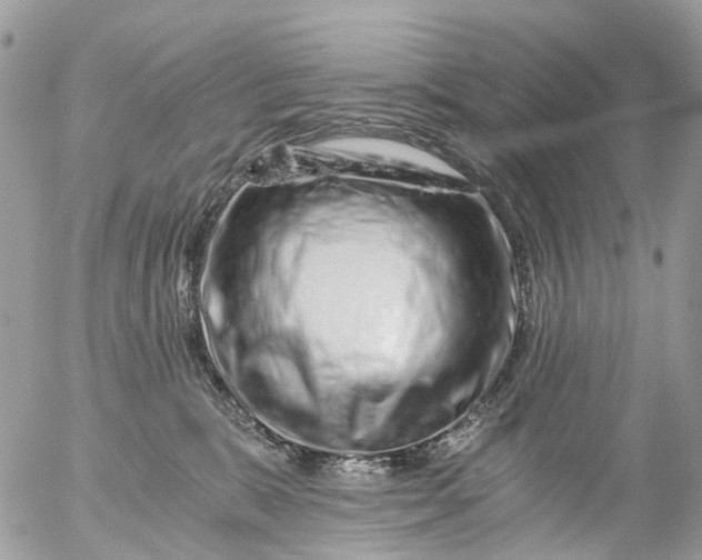 X0000056320327200509092309