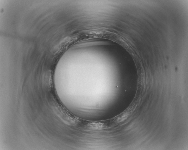 X0000056320328200509092309