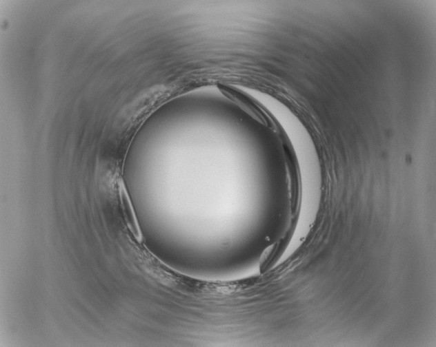 X0000056320329200509092309