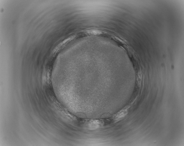 X0000056320330200509092309