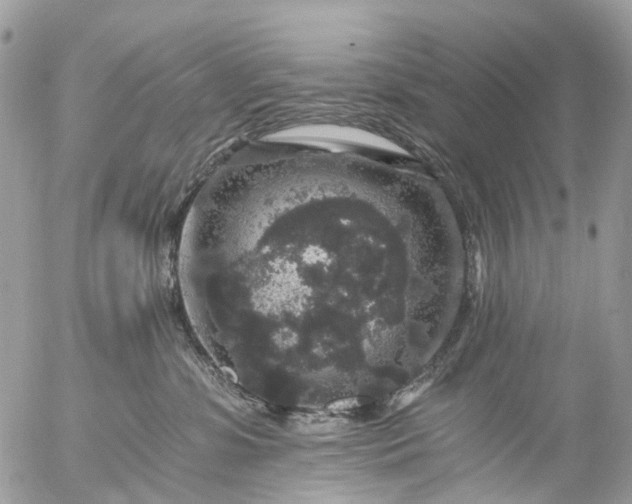 X0000056320331200509092309