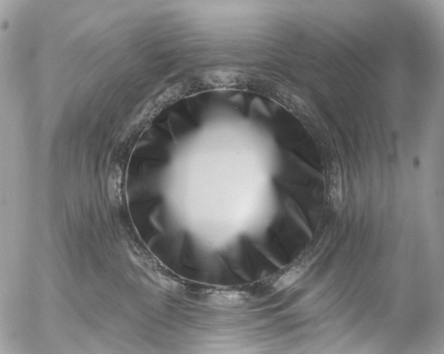 X0000056320332200509092309