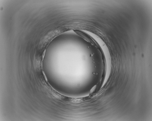 X0000056320333200509092309