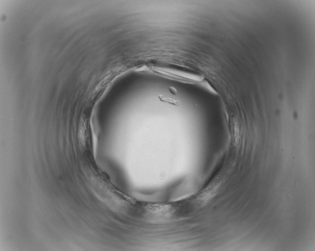 X0000056320334200509092309