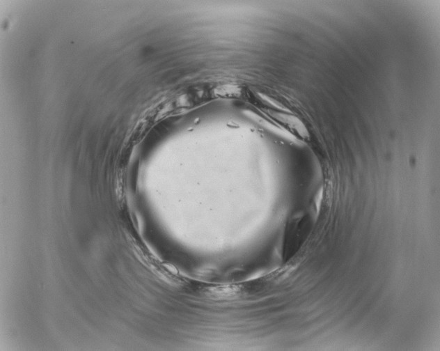 X0000056320335200509092309