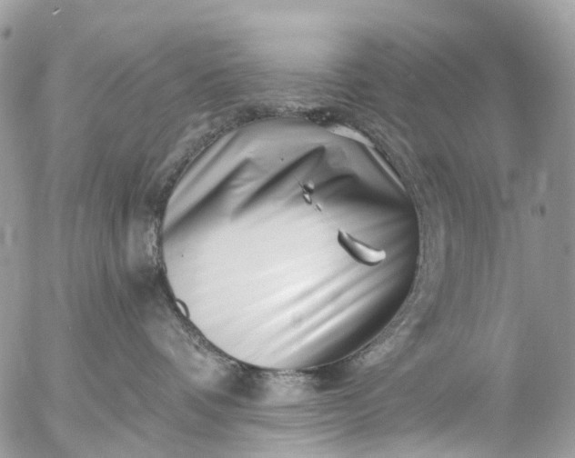 X0000056320336200509092309