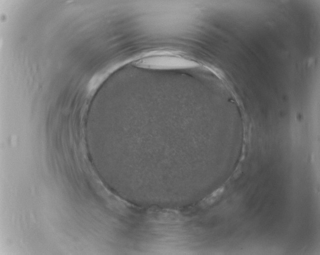 X0000056320337200509092308