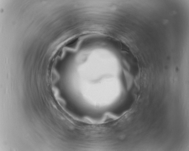 X0000056320338200509092308