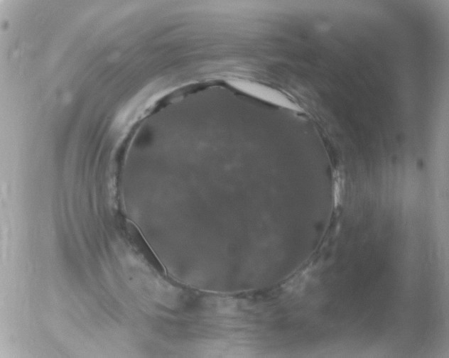 X0000056320339200509092308