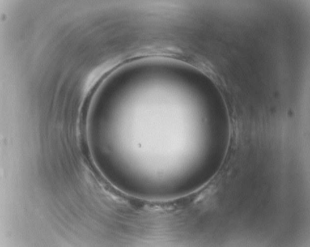 X0000056320340200509092308