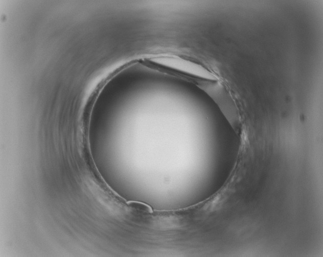 X0000056320342200509092308