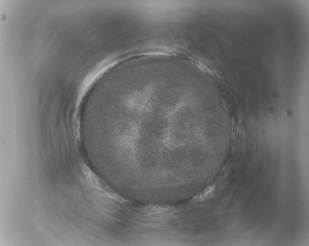 X0000056320343200509092308