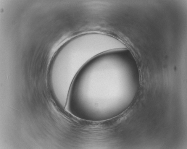 X0000056320344200509092308