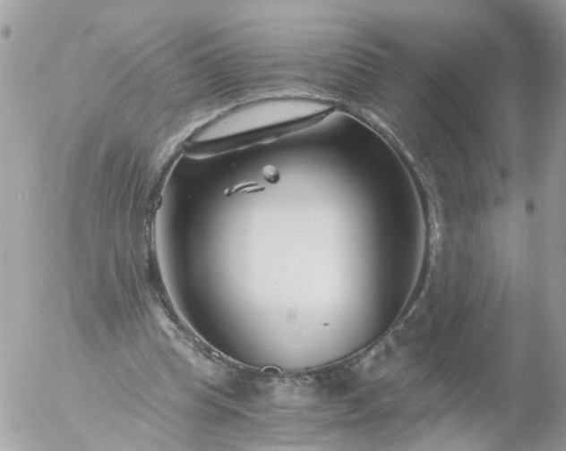 X0000056320345200509092308