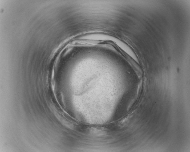 X0000056320346200509092308