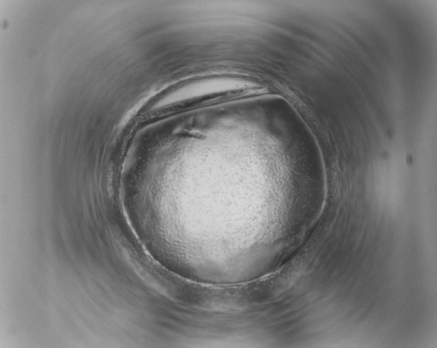 X0000056320347200509092308