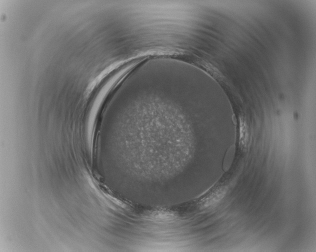 X0000056320348200509092308