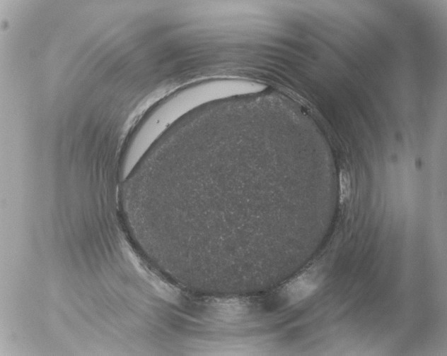 X0000056320349200509092308