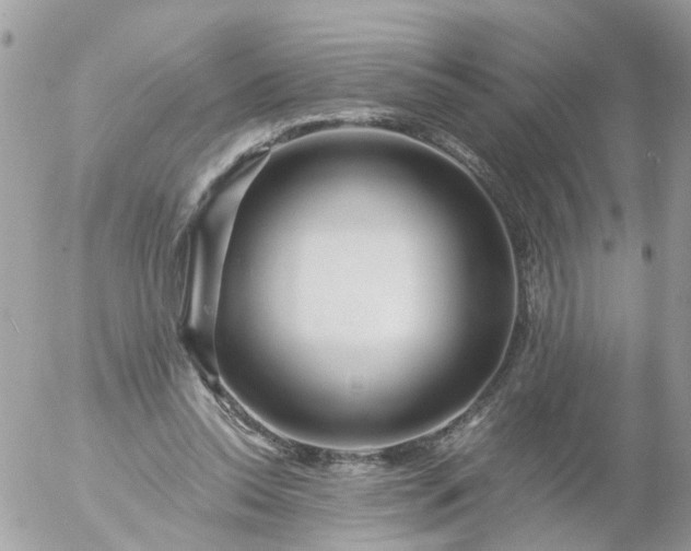 X0000056320350200509092308