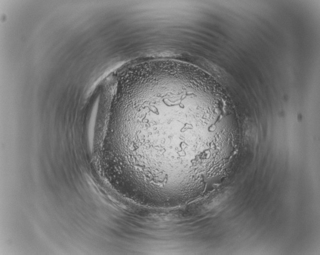 X0000056320351200509092308