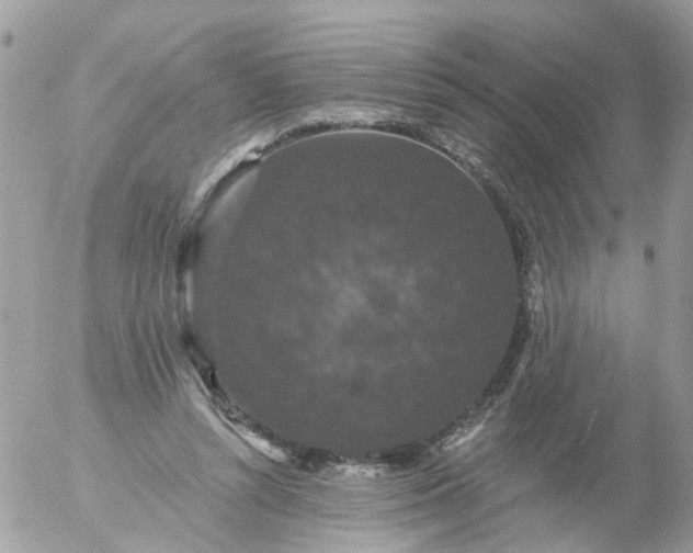 X0000056320352200509092308