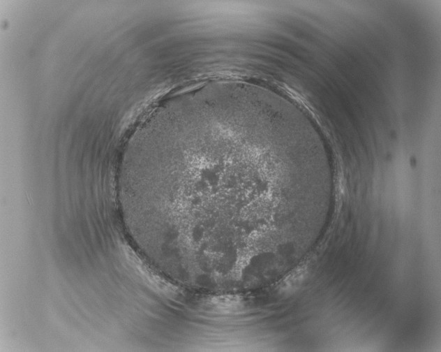 X0000056320353200509092308