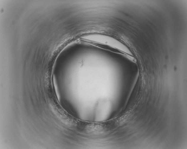 X0000056320354200509092308