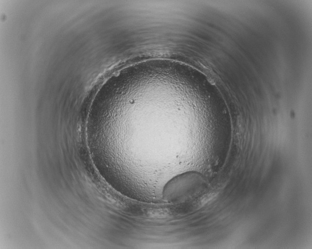 X0000056320355200509092308