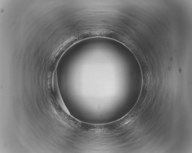 X0000056320356200509092308