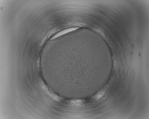 X0000056320357200509092308