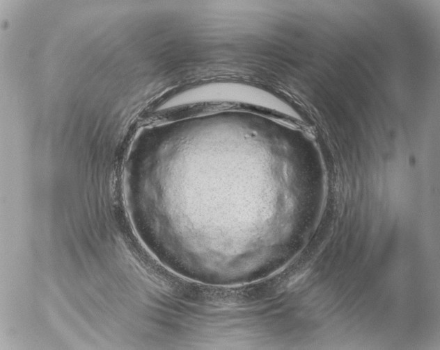 X0000056320359200509092308