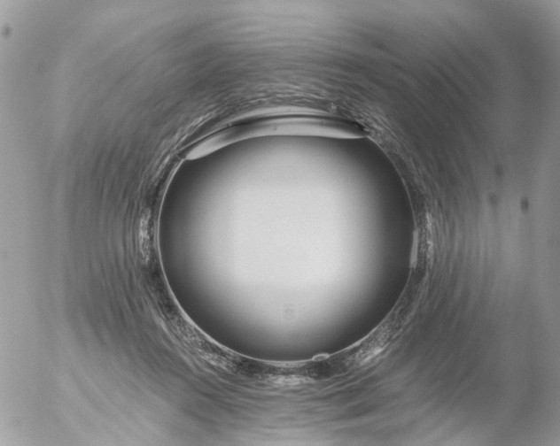 X0000056320360200509092308